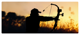 DNSEMP-L-309 Gone Hunting (Bow)